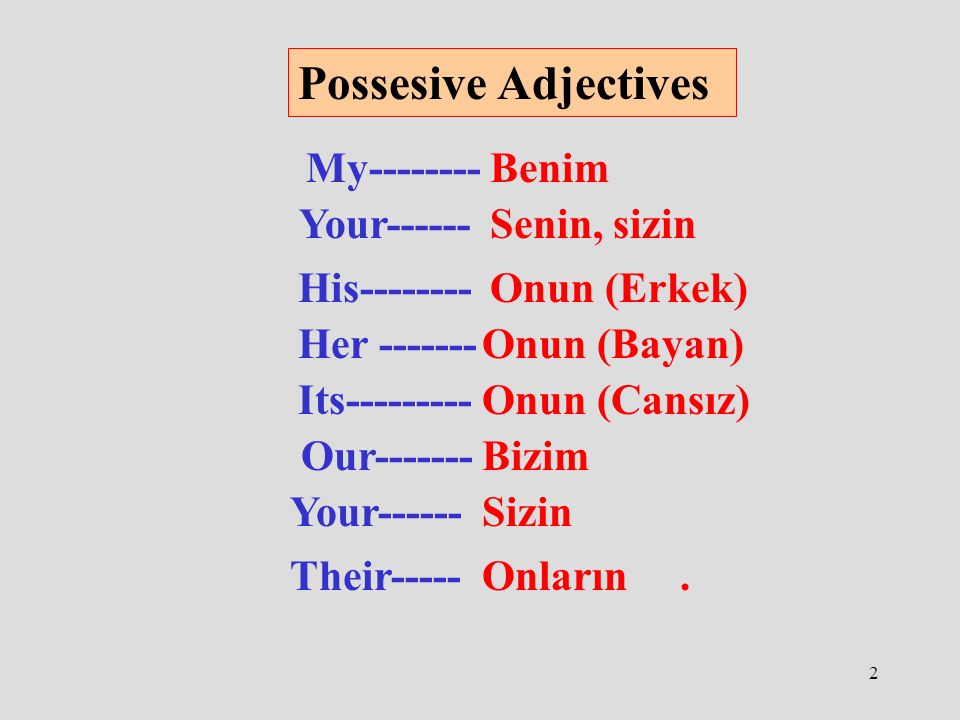 2 Possesive Adjectives My Benim Your------Senin, sizin His Onun (Erkek) Her Onun (Bayan) Its Onun (Cansız) Our Bizim Your------Sizin Their-----Onların.