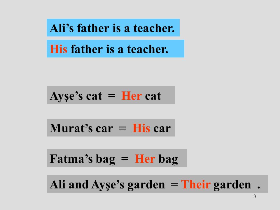 3 Ali’s father is a teacher. His father is a teacher.