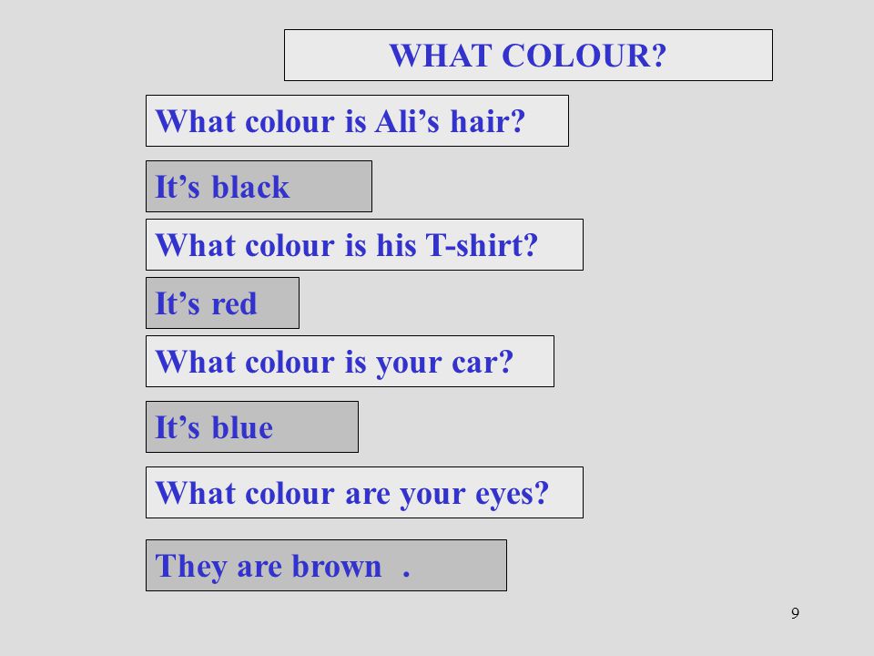 9 WHAT COLOUR. What colour is your car. It’s blue What colour are your eyes.