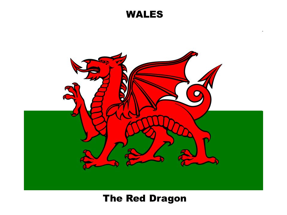 The Red Dragon WALES