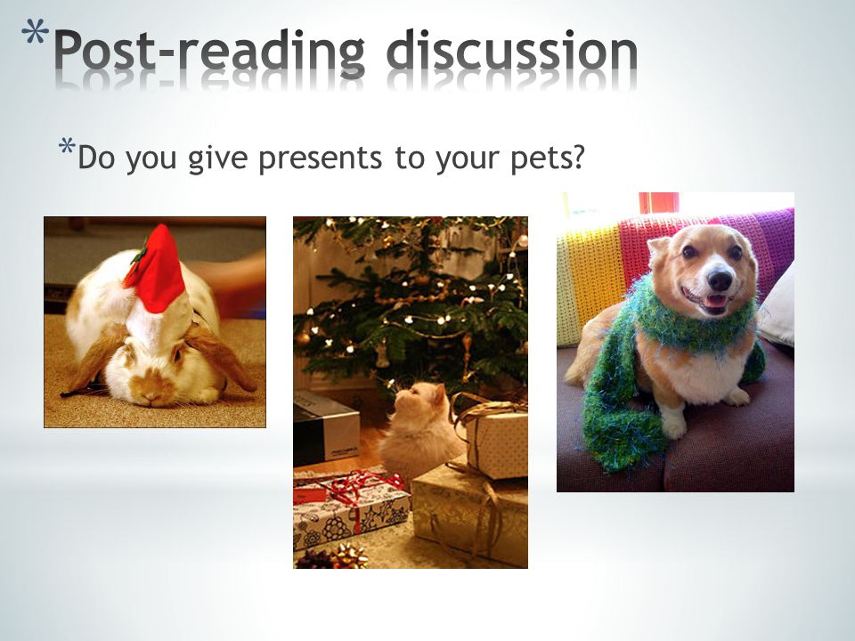 * Do you give presents to your pets