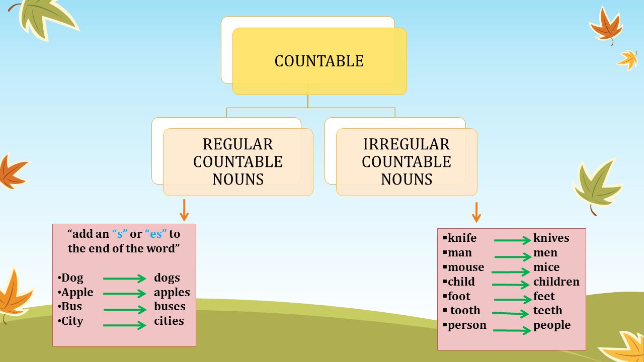 COUNTABLE REGULAR COUNTABLE NOUNS IRREGULAR COUNTABLE NOUNS add an s or es to the end of the word Dogdogs Appleapples Busbuses Citycities  knife knives  man men  mouse mice  child children  foot feet  tooth teeth  person people