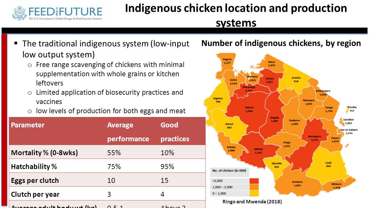 Tanzania And Ghana Poultry Value Chains A Status Report Emily Ouma