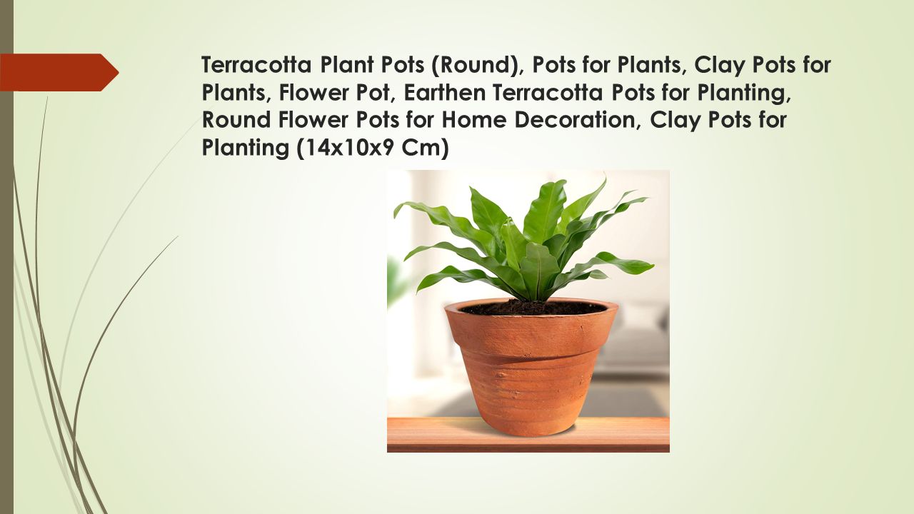 Terracotta Plant Pots (Round), Pots for Plants, Clay Pots for Plants,  Flower Pot, Earthen Terracotta Pots for Planting, Round Flower Pots for  Home Decoration, Clay Pots for Planting (14x10x9 Cm) - Gachwala