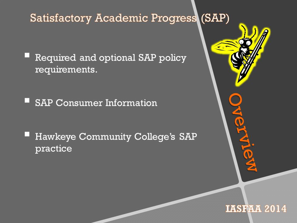 Overview  Required and optional SAP policy requirements.