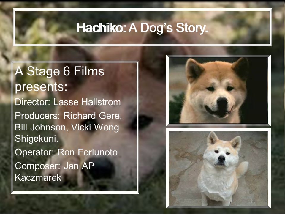 Komarova N. 9a class. Hachiko: A Dog's Story. A Stage 6 Films presents:  Director: Lasse Hallstrom Producers: Richard Gere, Bill Johnson, Vicki Wong  Shigekuni. - ppt download