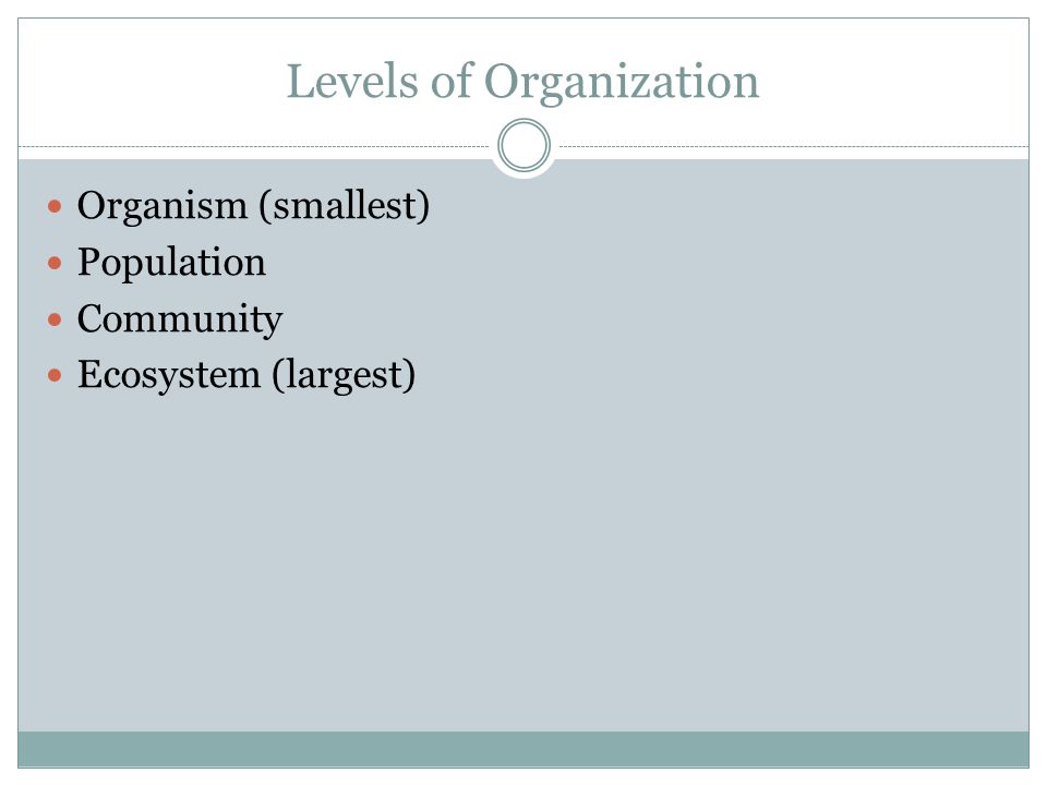 Levels of Organization Organism (smallest) Population Community Ecosystem (largest)