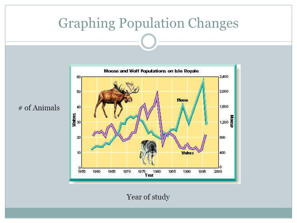 Graphing Population Changes # of Animals Year of study