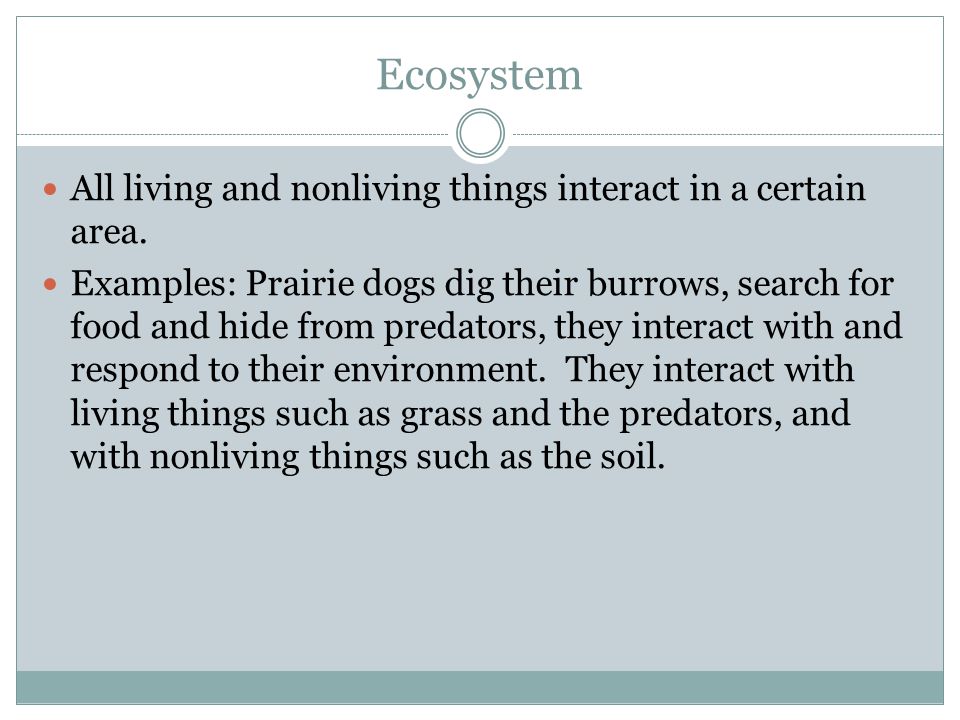 Ecosystem All living and nonliving things interact in a certain area.
