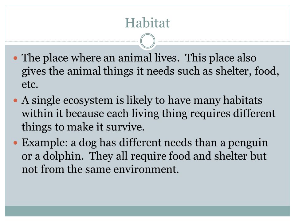Habitat The place where an animal lives.