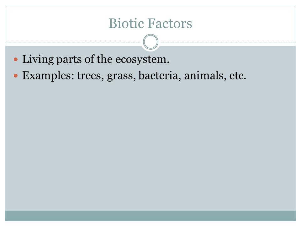 Biotic Factors Living parts of the ecosystem. Examples: trees, grass, bacteria, animals, etc.
