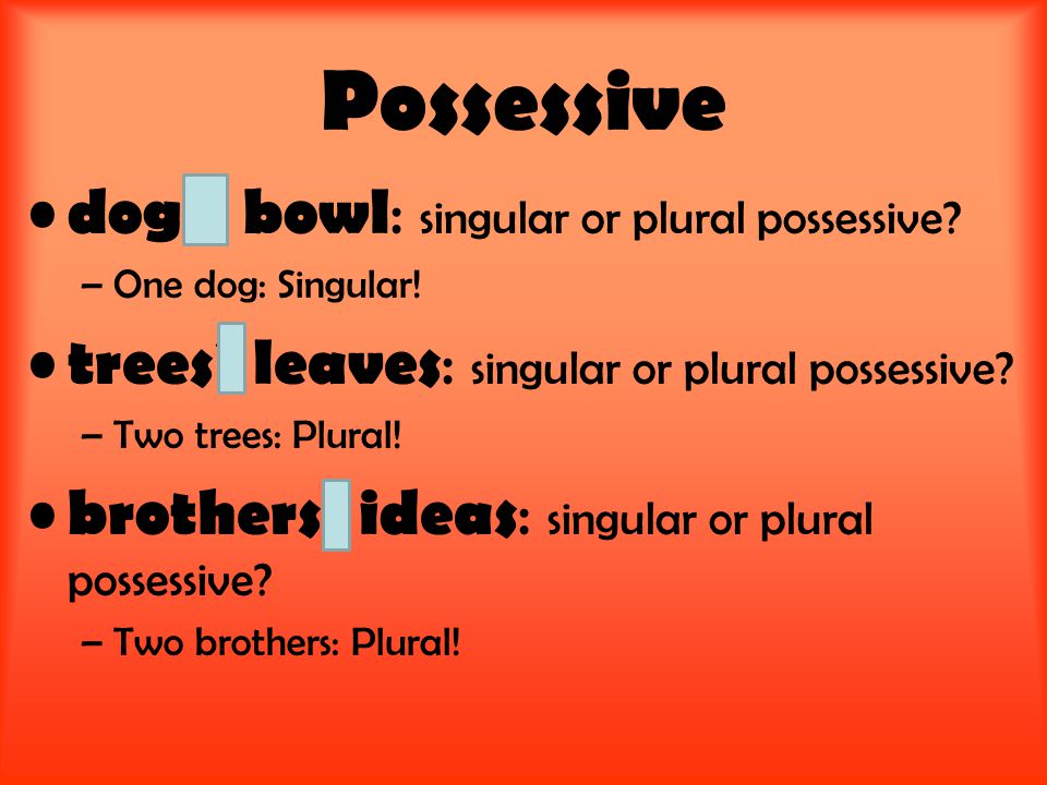 Possessive dog’s bowl : singular or plural possessive.