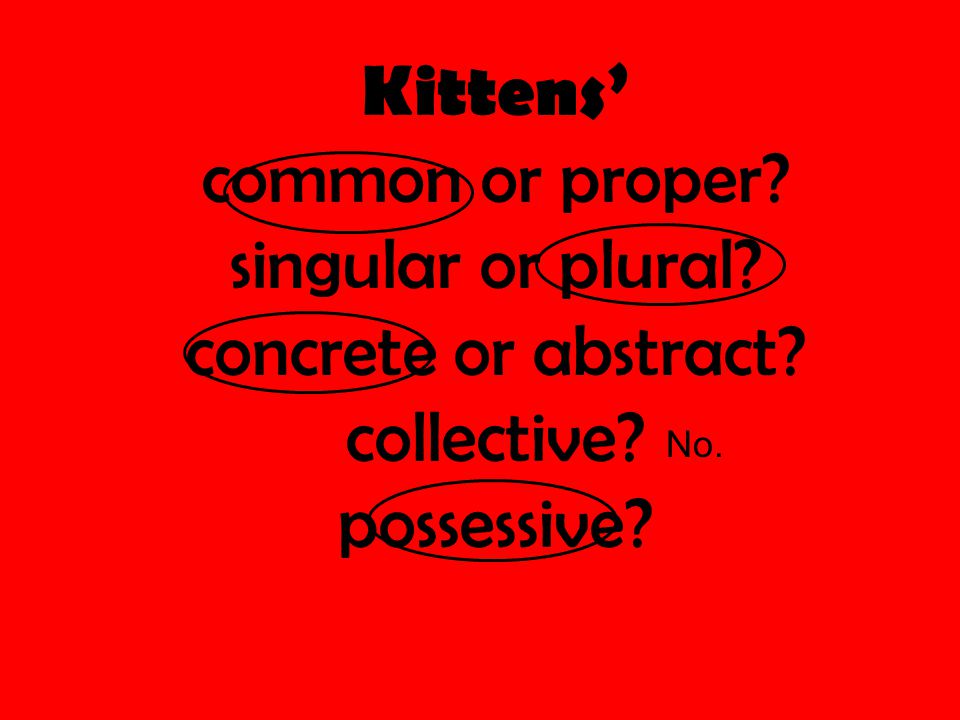 Kittens’ common or proper singular or plural concrete or abstract collective possessive No.