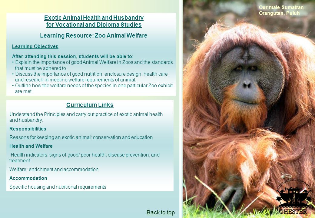 Exotic Animal Health and Husbandry for Vocational and Diploma Studies  Learning Resource: Zoo Animal Welfare Information and guidance for teachers  Contents. - ppt download