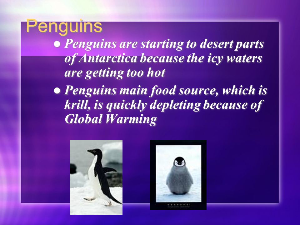 Penguins Penguins are starting to desert parts of Antarctica because the icy waters are getting too hot Penguins main food source, which is krill, is quickly depleting because of Global Warming Penguins are starting to desert parts of Antarctica because the icy waters are getting too hot Penguins main food source, which is krill, is quickly depleting because of Global Warming