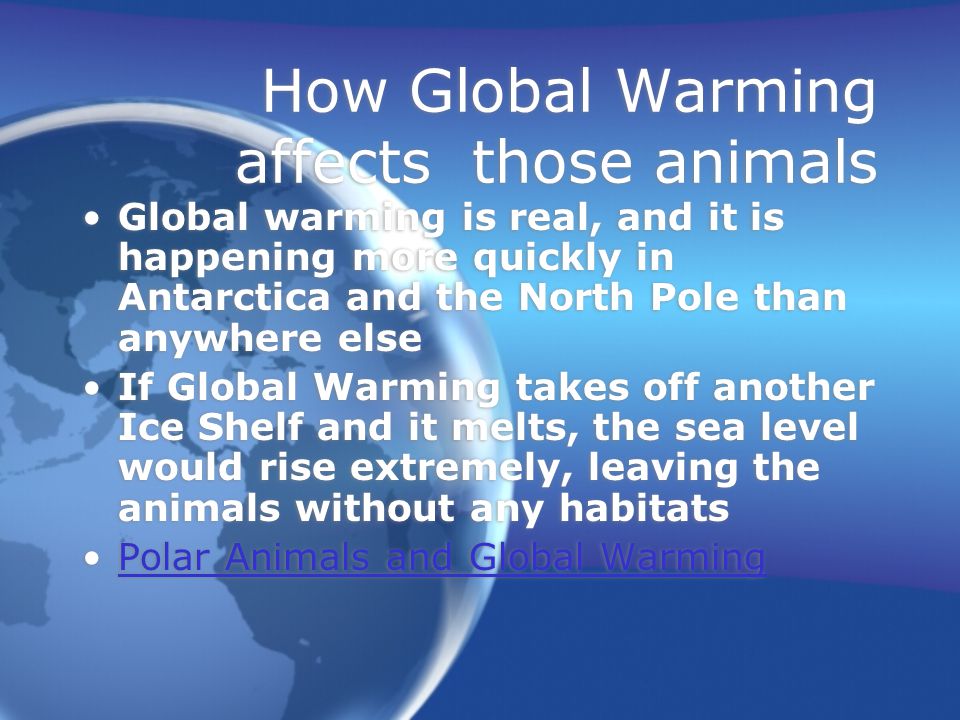 How Global Warming affects those animals Global warming is real, and it is happening more quickly in Antarctica and the North Pole than anywhere else If Global Warming takes off another Ice Shelf and it melts, the sea level would rise extremely, leaving the animals without any habitats Polar Animals and Global Warming Global warming is real, and it is happening more quickly in Antarctica and the North Pole than anywhere else If Global Warming takes off another Ice Shelf and it melts, the sea level would rise extremely, leaving the animals without any habitats Polar Animals and Global Warming