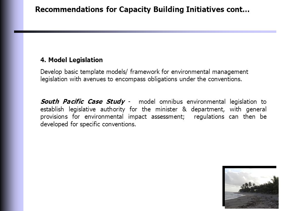 Recommendations for Capacity Building Initiatives cont… 4.