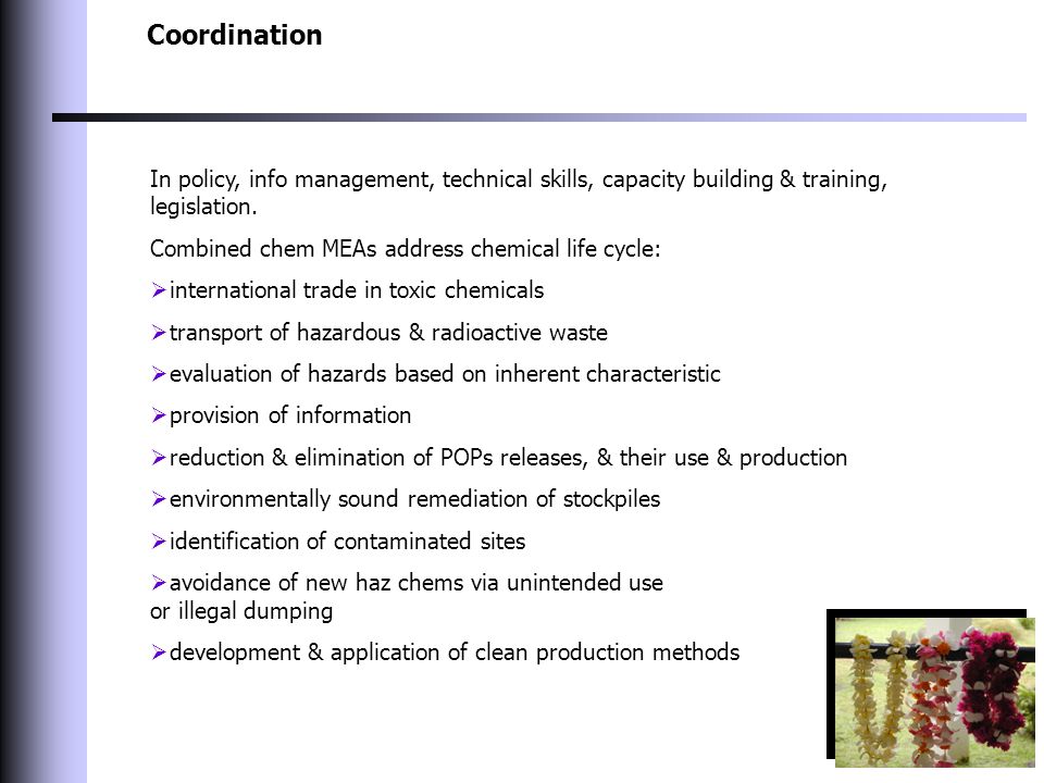 Coordination In policy, info management, technical skills, capacity building & training, legislation.