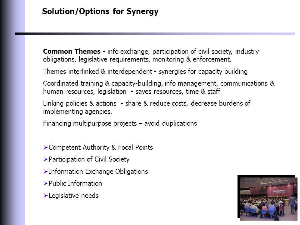 Solution/Options for Synergy Common Themes - info exchange, participation of civil society, industry obligations, legislative requirements, monitoring & enforcement.