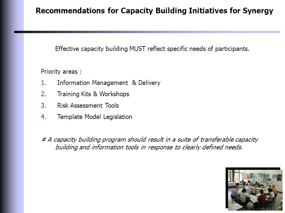 Recommendations for Capacity Building Initiatives for Synergy Effective capacity building MUST reflect specific needs of participants.