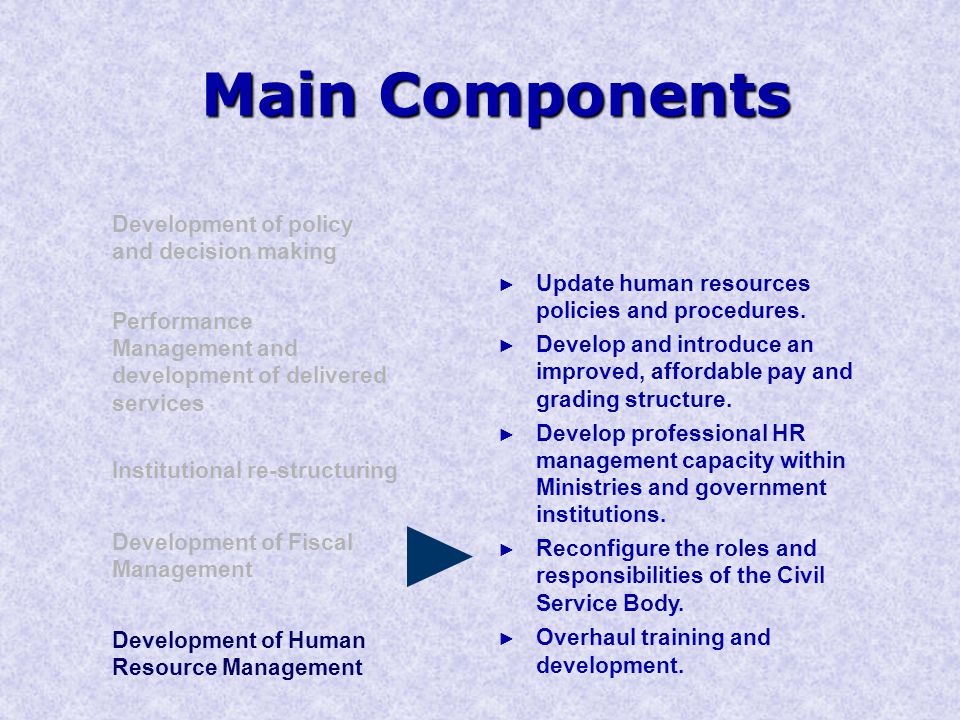 Main Components Development of policy and decision making Performance Management and development of delivered services Institutional re-structuring Development of Human Resource Management Development of Fiscal Management ► Update human resources policies and procedures.