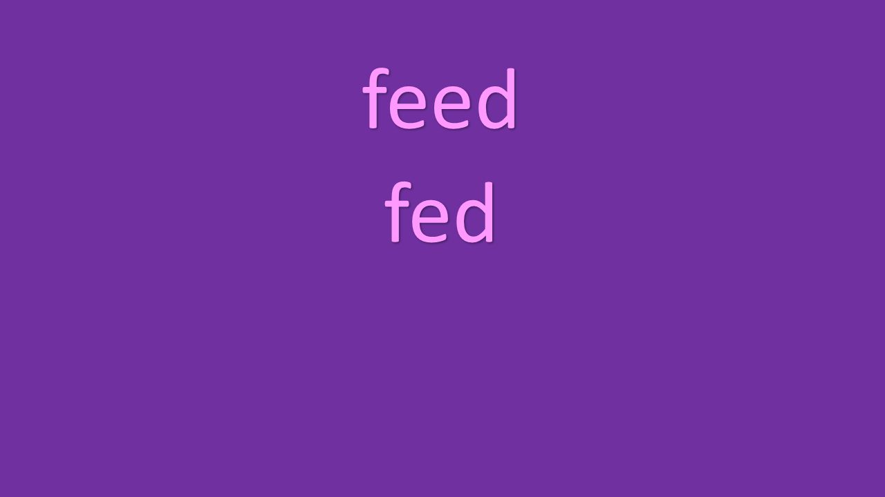 feed fed