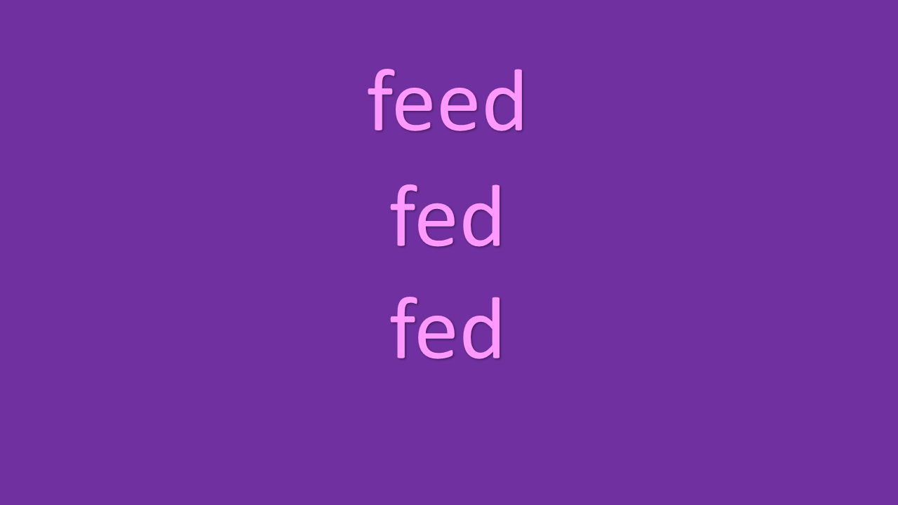 feed fed fed