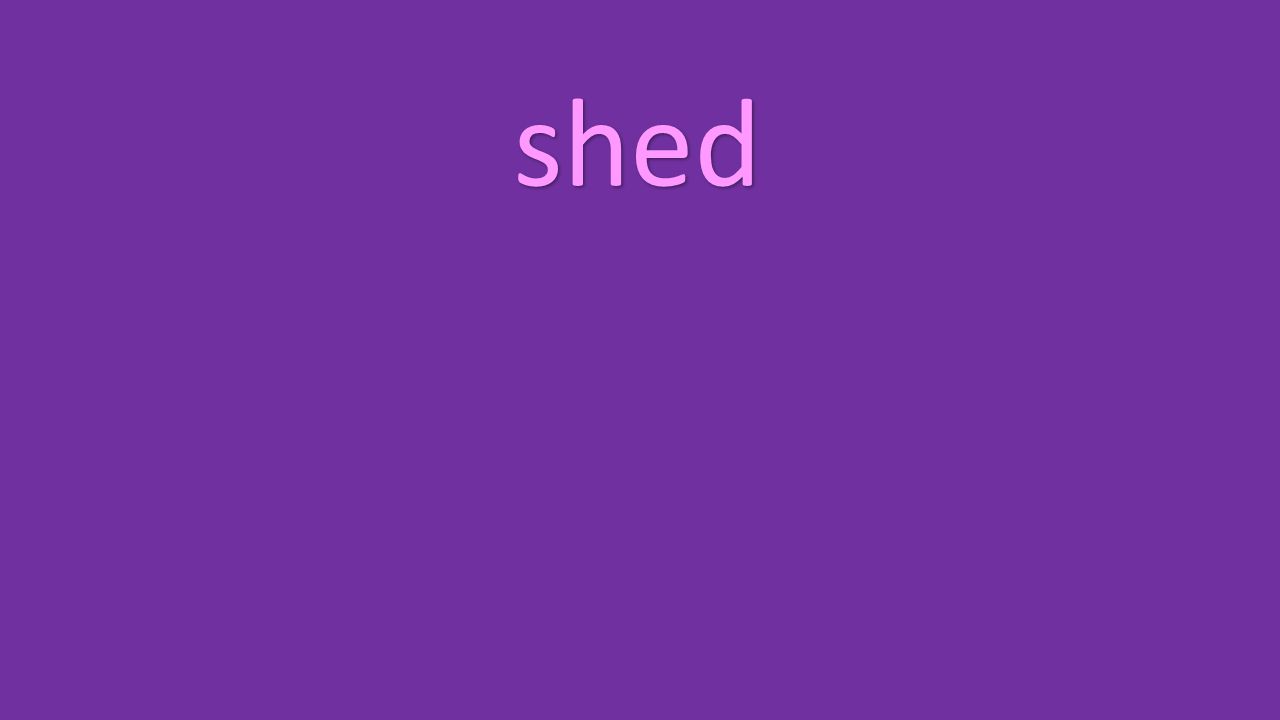 shed
