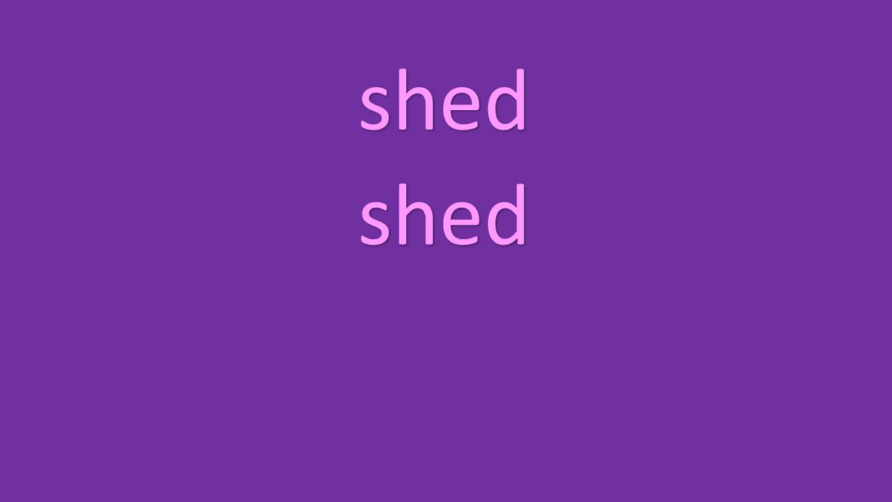 shed shed