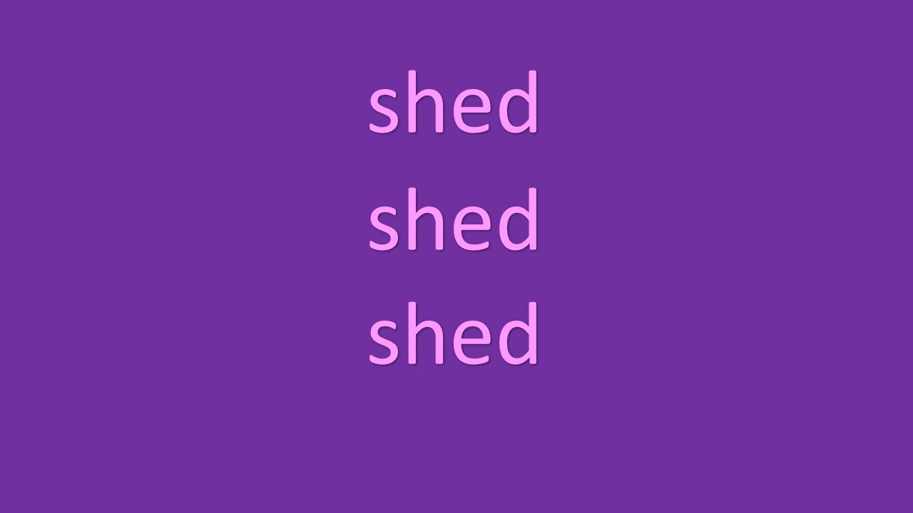 shed shed shed