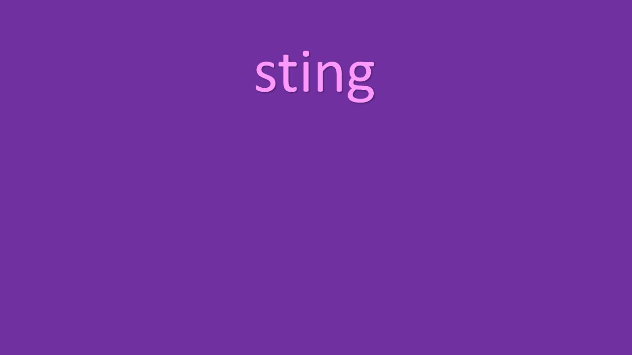 sting