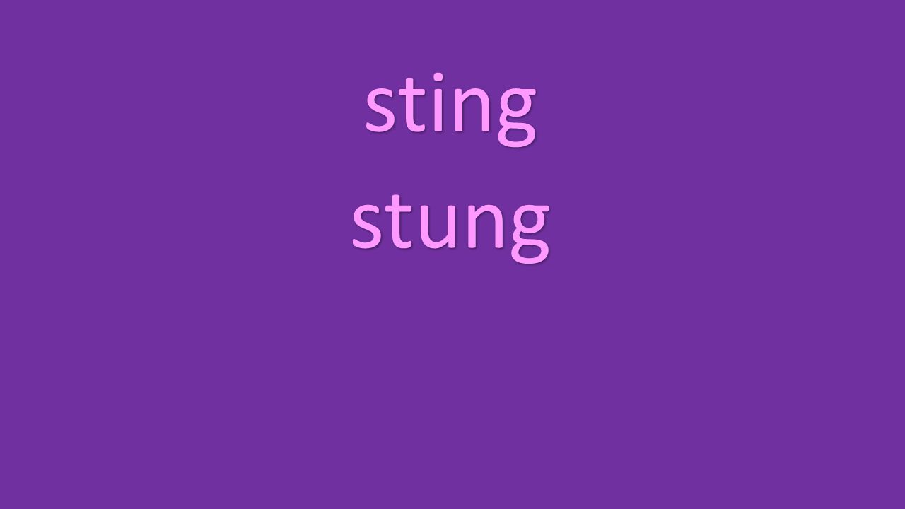 sting stung