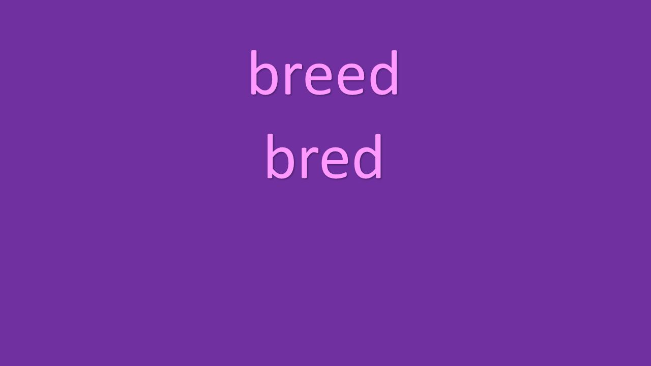 breed bred