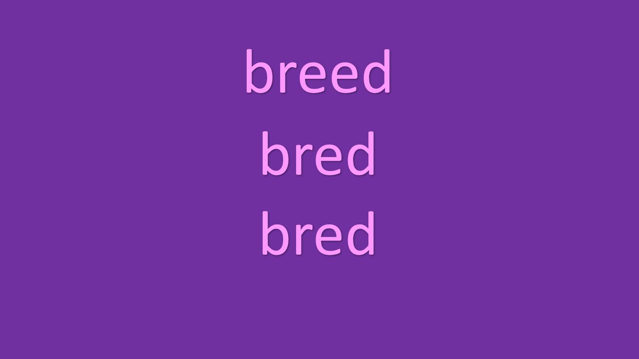 breed bred bred