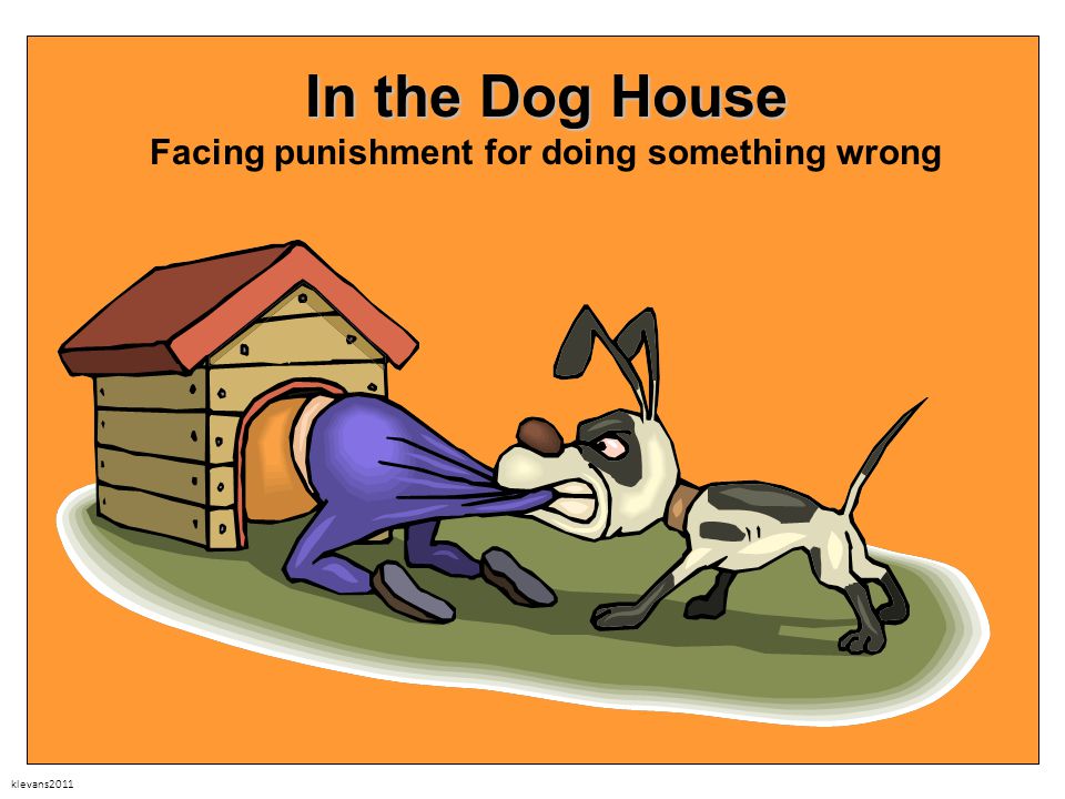 Догхаус dog house демо. In the Doghouse идиома. Идиома in the Dog House. A Black Dog идиома. The Dog is the Doghouse.