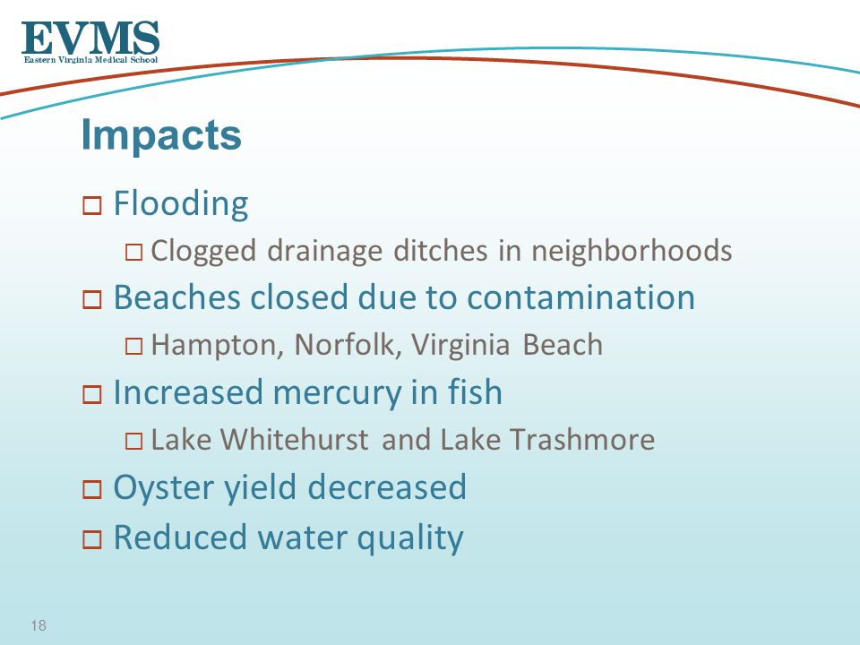  Flooding  Clogged drainage ditches in neighborhoods  Beaches closed due to contamination  Hampton, Norfolk, Virginia Beach  Increased mercury in fish  Lake Whitehurst and Lake Trashmore  Oyster yield decreased  Reduced water quality Impacts 18