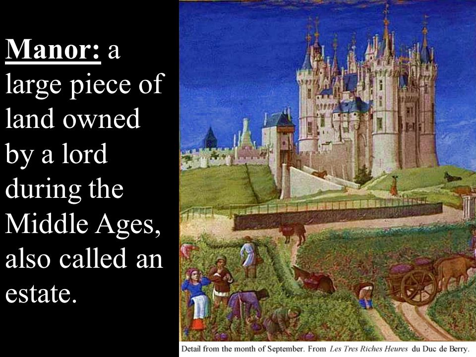 Manor: a large piece of land owned by a lord during the Middle Ages, also called an estate.