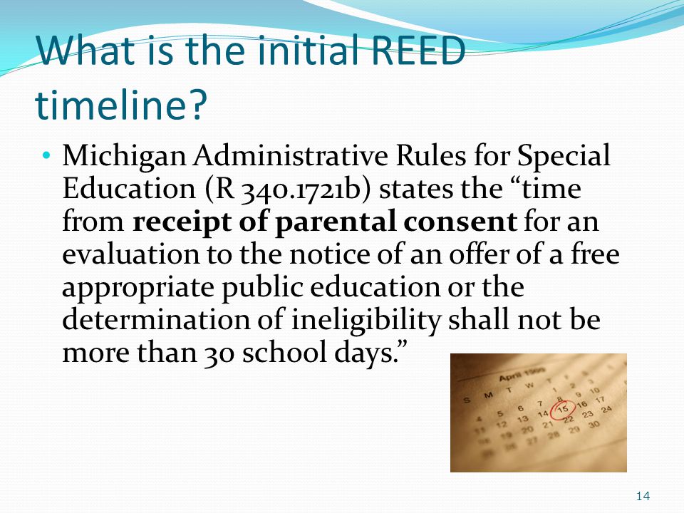 What is the initial REED timeline.