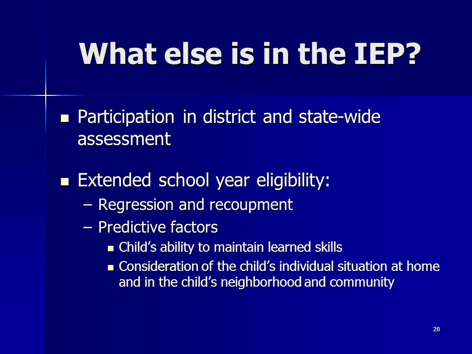 20 What else is in the IEP.