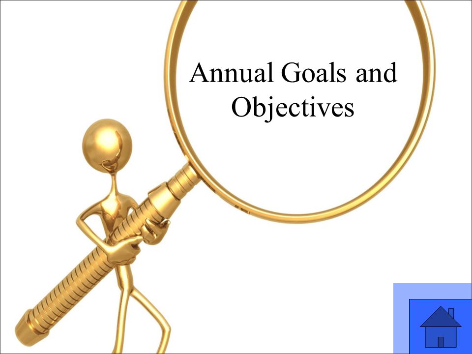 29 Annual Goals and Objectives