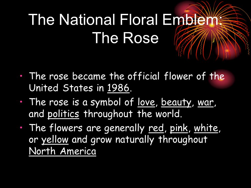 The National Floral Emblem: The Rose The rose became the official flower of the United States in 1986.
