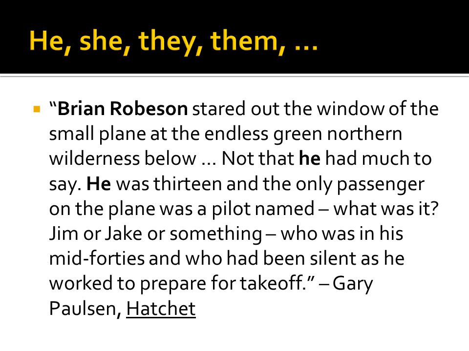  Brian Robeson stared out the window of the small plane at the endless green northern wilderness below...