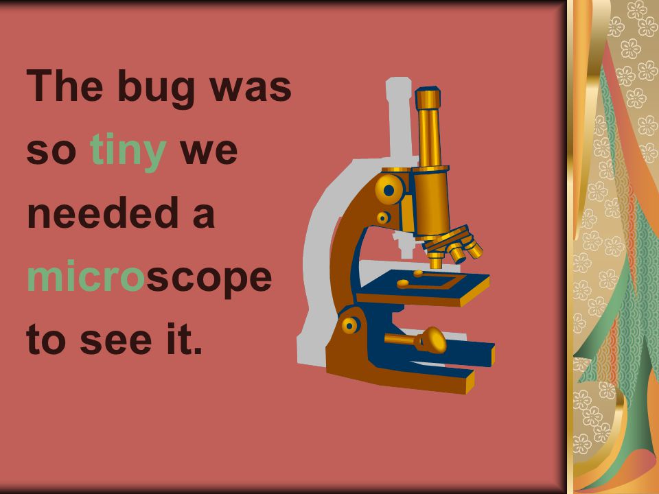 The bug was so tiny we needed a microscope to see it.