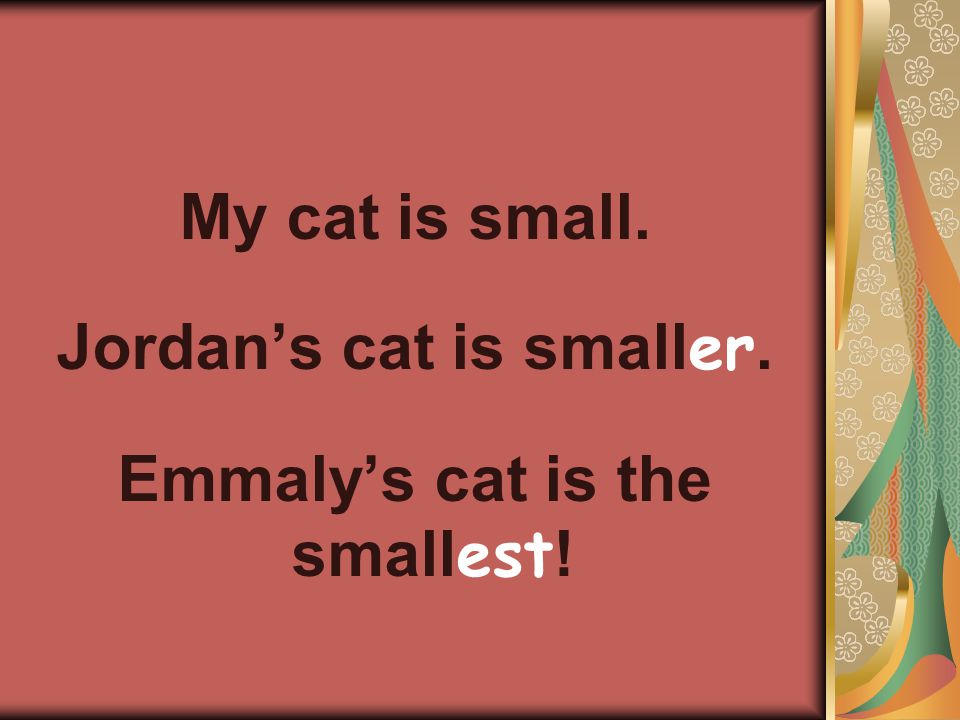 My cat is small. Jordan’s cat is small er. Emmaly’s cat is the small est !