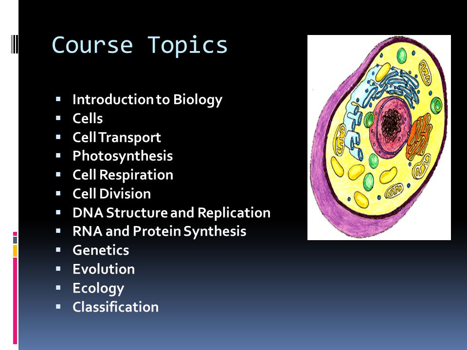 Course Topics  Introduction to Biology  Cells  Cell Transport  Photosynthesis  Cell Respiration  Cell Division  DNA Structure and Replication  RNA and Protein Synthesis  Genetics  Evolution  Ecology  Classification