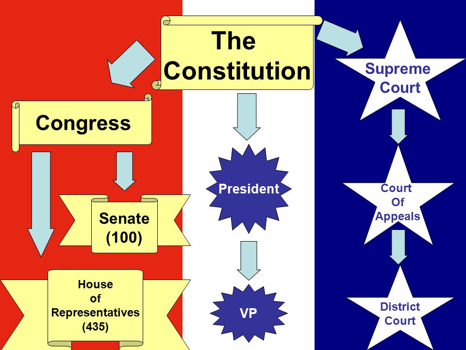 The Constitution Congress House of Representatives (435) Senate (100) Supreme Court Of Appeals District Court President VP