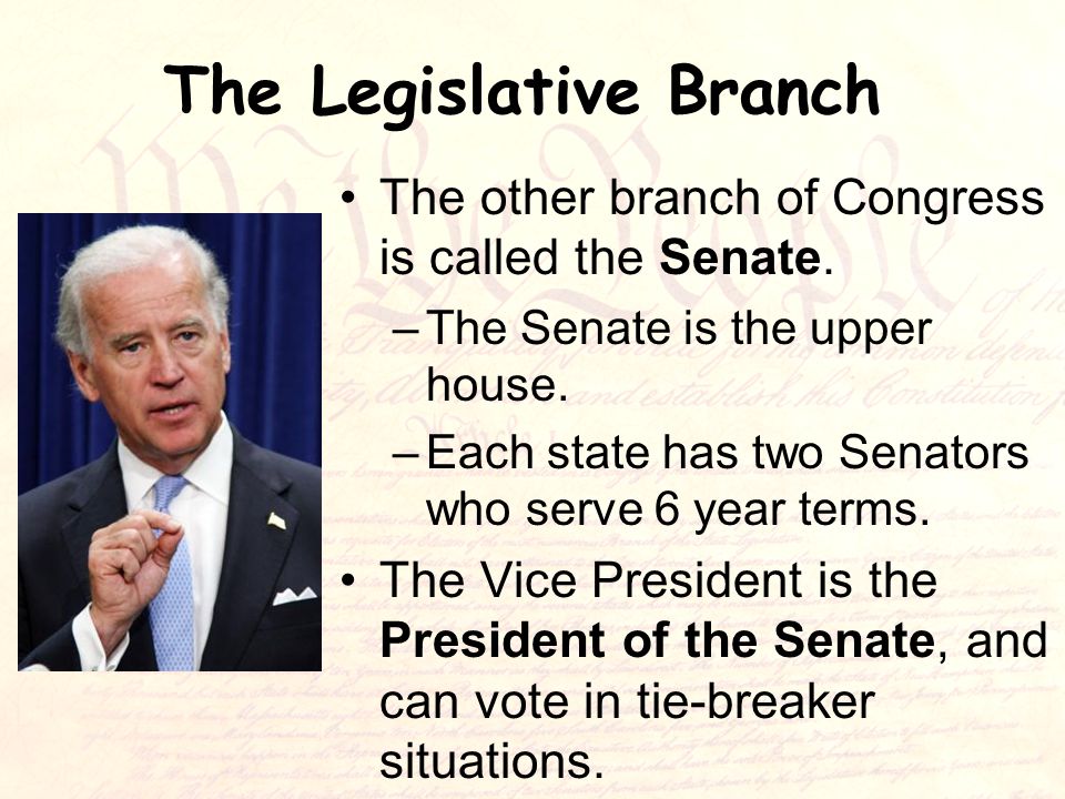 The Legislative Branch The other branch of Congress is called the Senate.