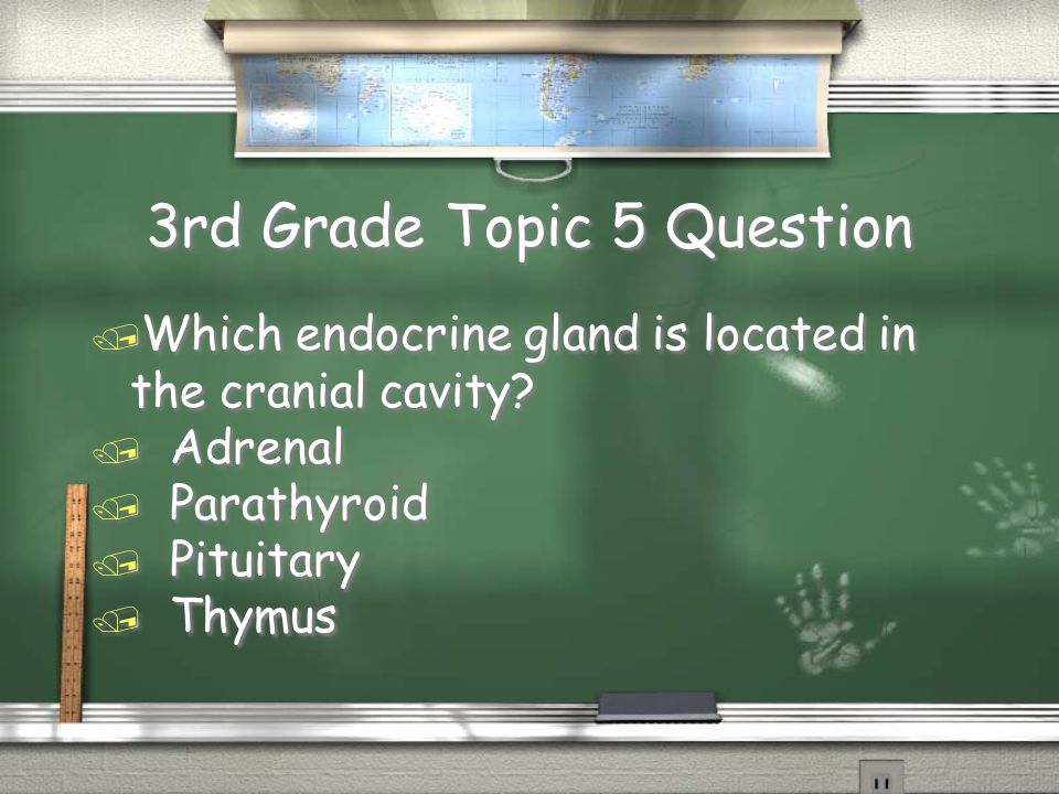 4th Grade Topic 4 Answer / Hormones Return