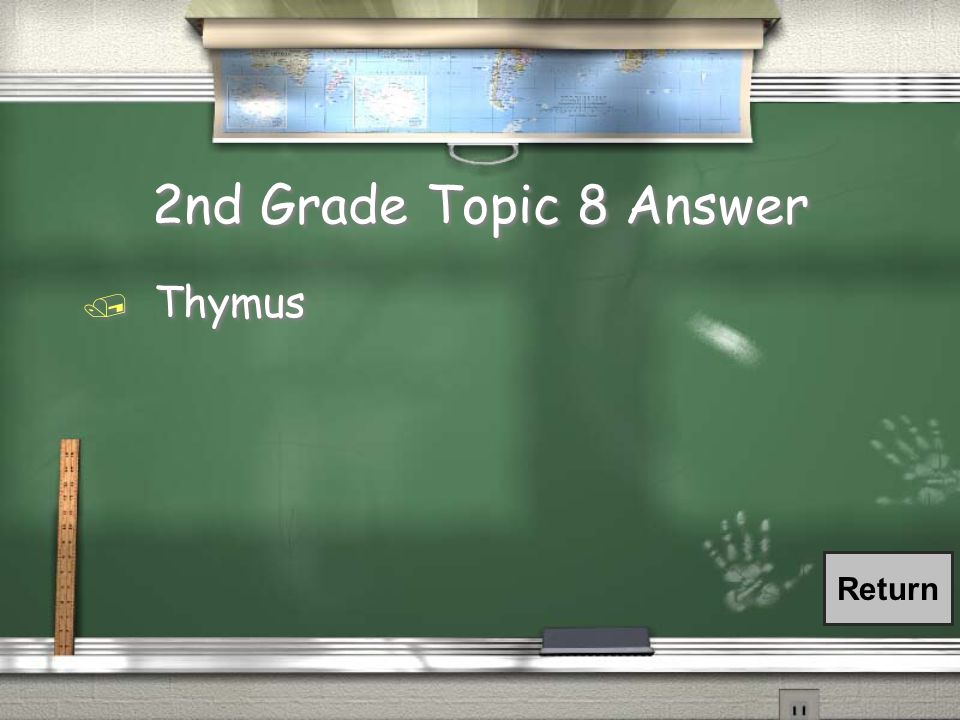 2nd Grade Topic 8 Question / The endocrine gland located in the thoractic cavity is the: / Pancreas / Pituitary / Thymus / Thyroid / The endocrine gland located in the thoractic cavity is the: / Pancreas / Pituitary / Thymus / Thyroid