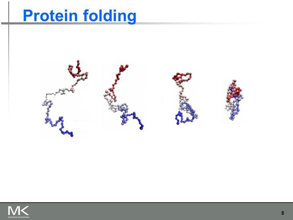 8 Protein folding